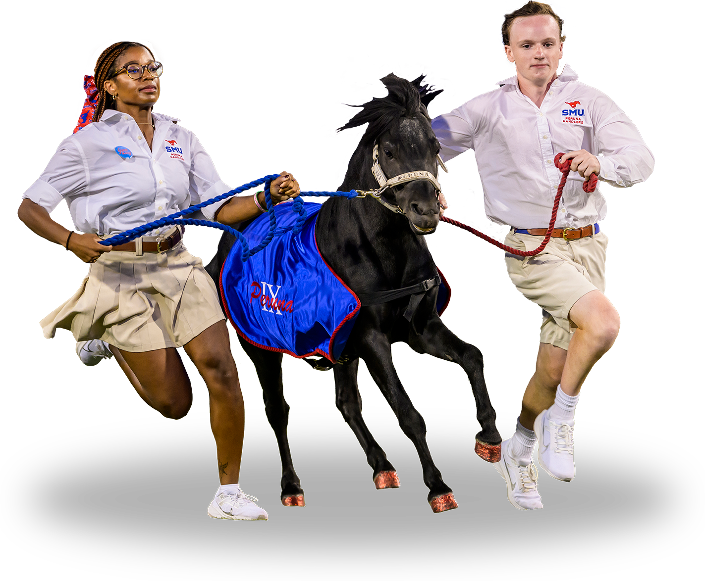 Peruna running with his handlers