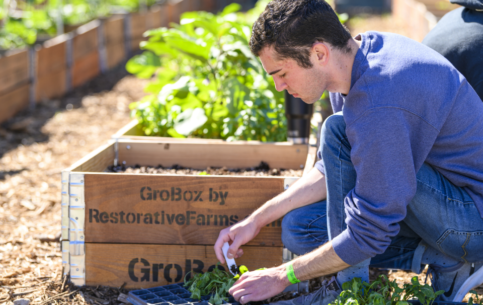 Student gardening